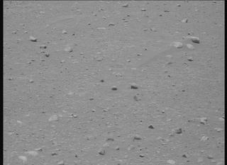 View image taken on Mars, Mars Perseverance Sol 884: Right Mastcam-Z Camera