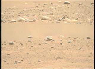 View image taken on Mars, Mars Perseverance Sol 884: Right Mastcam-Z Camera