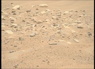 View image taken on Mars, Mars Perseverance Sol 884: Right Mastcam-Z Camera