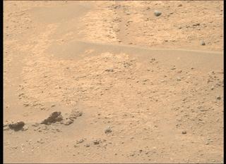 View image taken on Mars, Mars Perseverance Sol 884: Right Mastcam-Z Camera