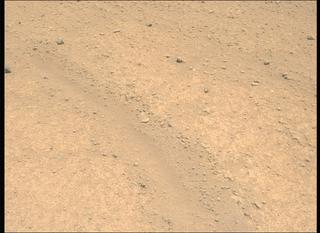 View image taken on Mars, Mars Perseverance Sol 885: Left Mastcam-Z Camera