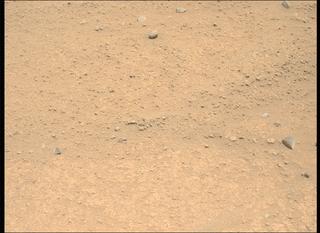 View image taken on Mars, Mars Perseverance Sol 885: Left Mastcam-Z Camera