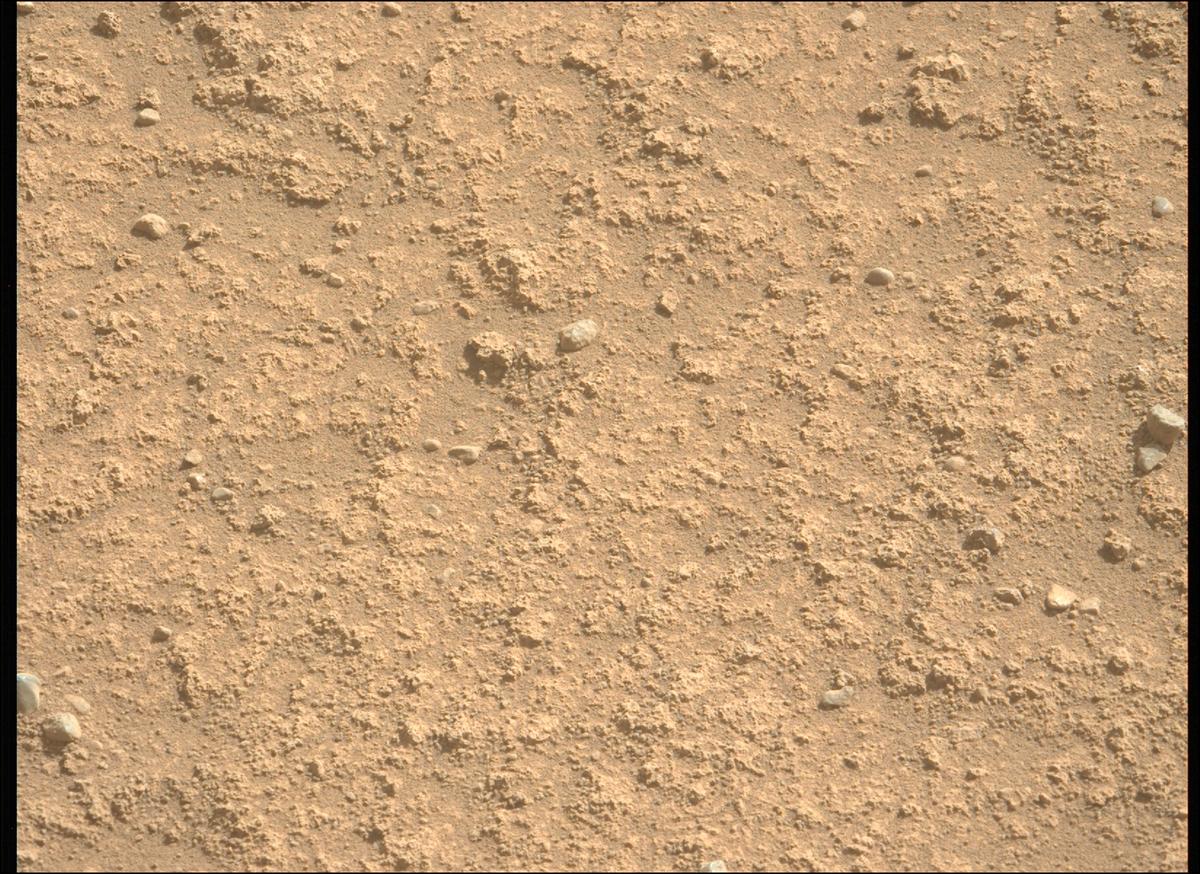 This image was taken by MCZ_LEFT onboard NASA's Mars rover Perseverance on Sol 885