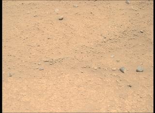 View image taken on Mars, Mars Perseverance Sol 885: Right Mastcam-Z Camera