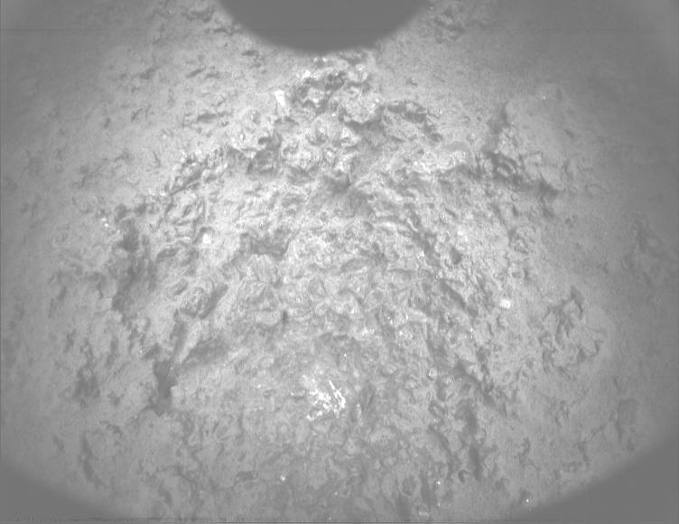 This image was taken by PIXL_MCC onboard NASA's Mars rover Perseverance on Sol 887