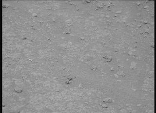 View image taken on Mars, Mars Perseverance Sol 889: Left Mastcam-Z Camera