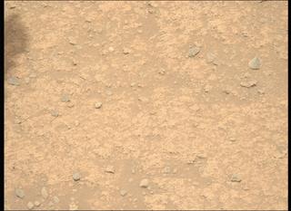 View image taken on Mars, Mars Perseverance Sol 889: Left Mastcam-Z Camera