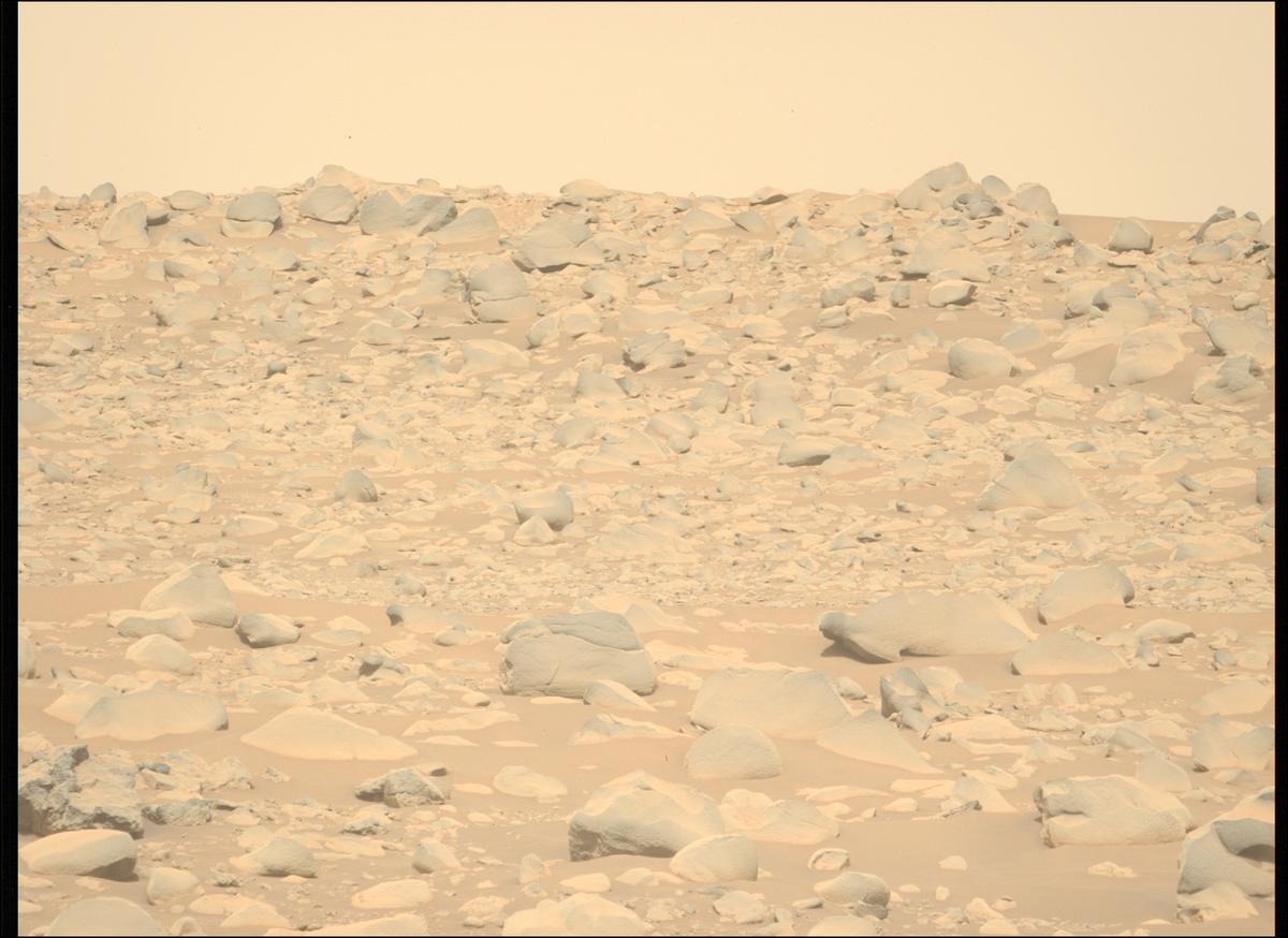 This image was taken by MCZ_LEFT onboard NASA's Mars rover Perseverance on Sol 889