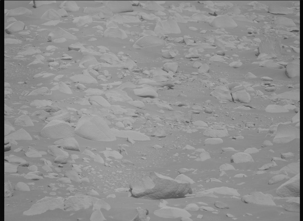 This image was taken by MCZ_LEFT onboard NASA's Mars rover Perseverance on Sol 889