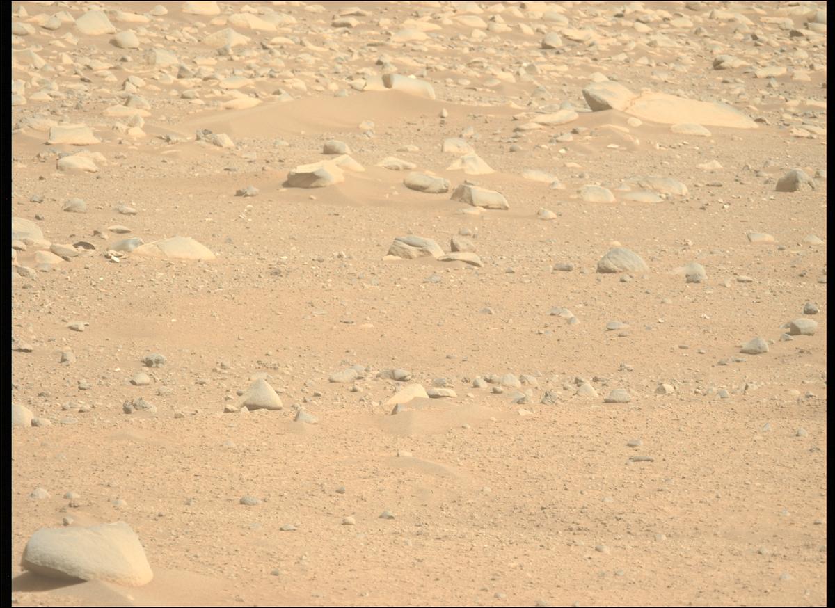 This image was taken by MCZ_LEFT onboard NASA's Mars rover Perseverance on Sol 889