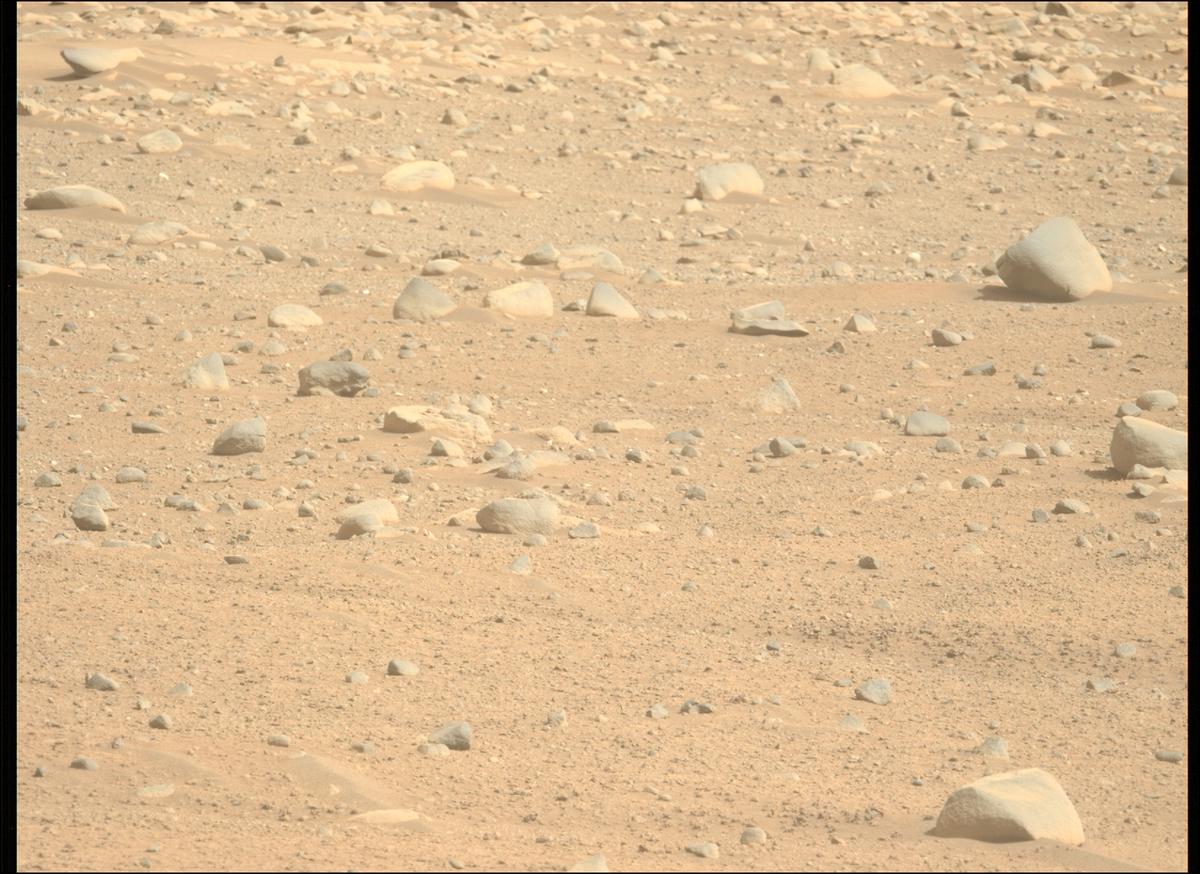 This image was taken by MCZ_LEFT onboard NASA's Mars rover Perseverance on Sol 889