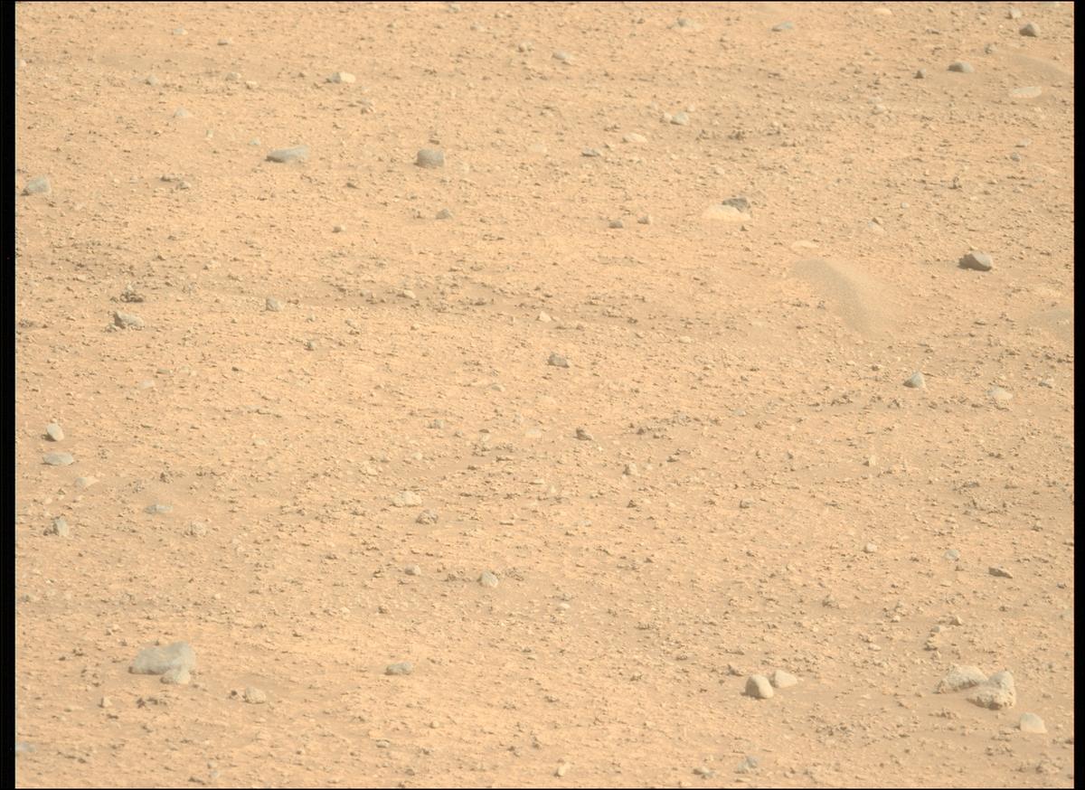 This image was taken by MCZ_LEFT onboard NASA's Mars rover Perseverance on Sol 889