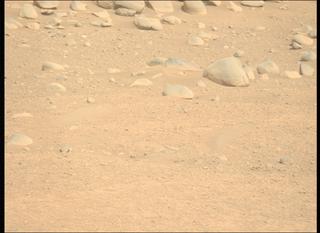 View image taken on Mars, Mars Perseverance Sol 889: Left Mastcam-Z Camera