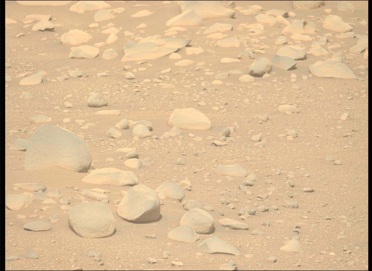 This image was taken by MCZ_LEFT onboard NASA's Mars rover Perseverance on Sol 889