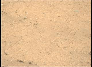 View image taken on Mars, Mars Perseverance Sol 889: Left Mastcam-Z Camera