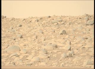 View image taken on Mars, Mars Perseverance Sol 889: Left Mastcam-Z Camera