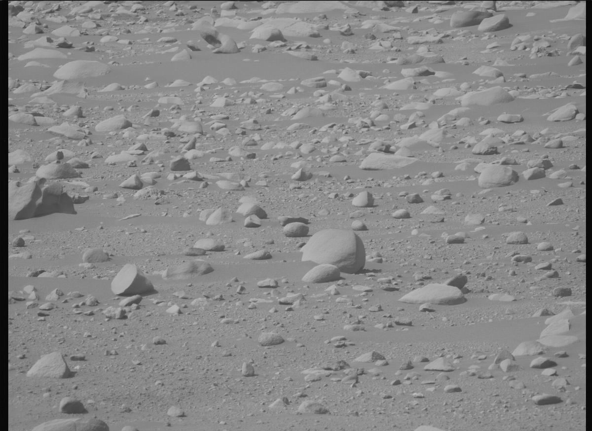 This image was taken by MCZ_LEFT onboard NASA's Mars rover Perseverance on Sol 889