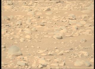 View image taken on Mars, Mars Perseverance Sol 889: Left Mastcam-Z Camera