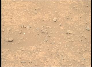 View image taken on Mars, Mars Perseverance Sol 889: Right Mastcam-Z Camera
