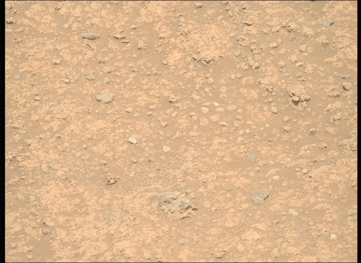 This image was taken by MCZ_RIGHT onboard NASA's Mars rover Perseverance on Sol 889