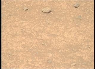 View image taken on Mars, Mars Perseverance Sol 889: Right Mastcam-Z Camera