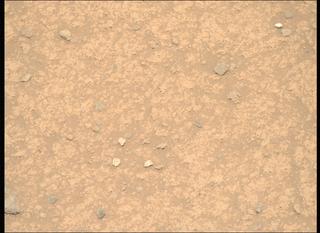 View image taken on Mars, Mars Perseverance Sol 889: Right Mastcam-Z Camera