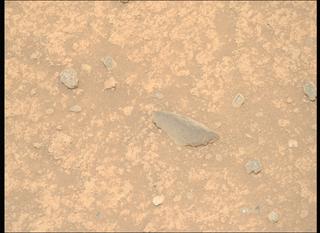 View image taken on Mars, Mars Perseverance Sol 889: Right Mastcam-Z Camera