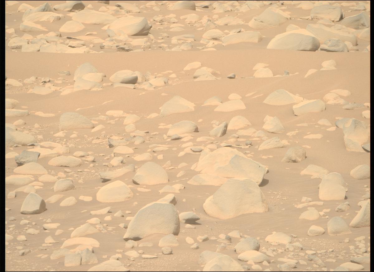 This image was taken by MCZ_RIGHT onboard NASA's Mars rover Perseverance on Sol 889