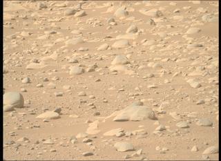 View image taken on Mars, Mars Perseverance Sol 889: Right Mastcam-Z Camera