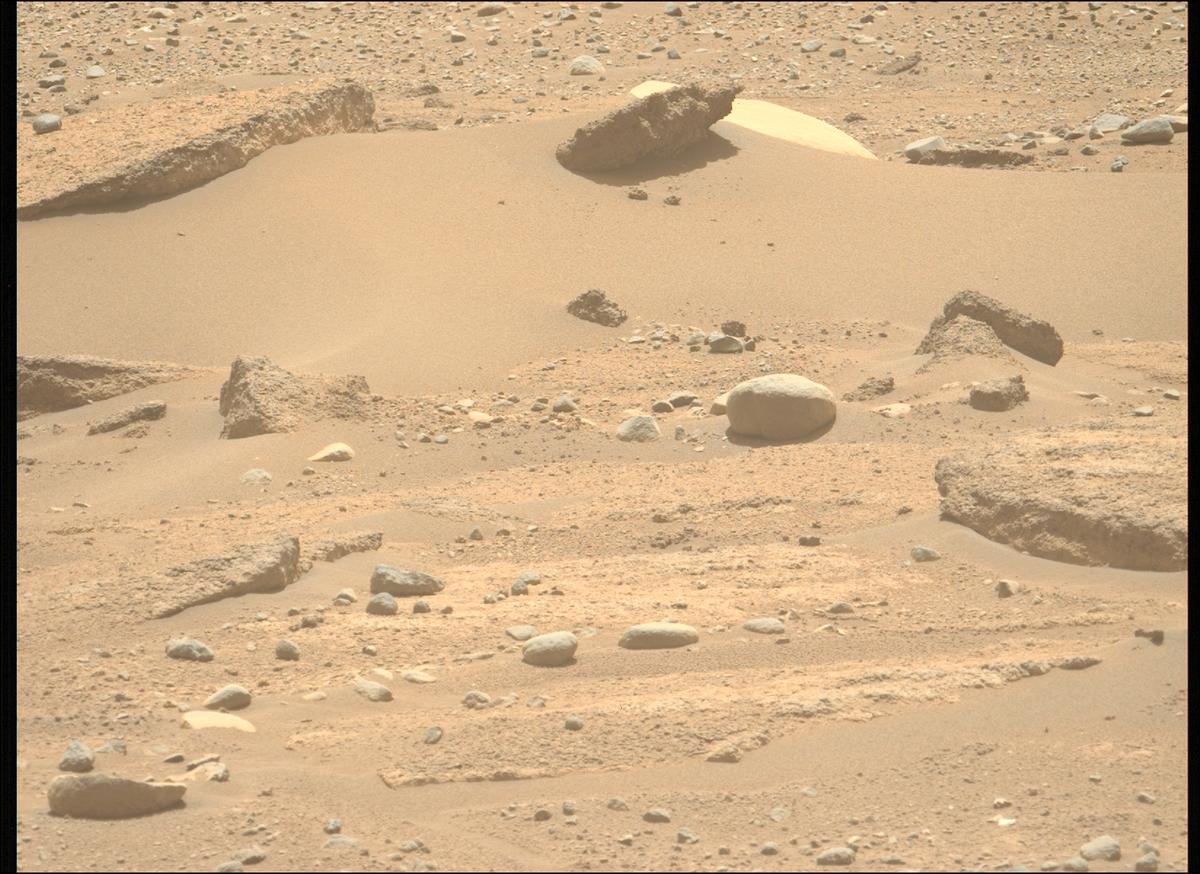 This image was taken by MCZ_LEFT onboard NASA's Mars rover Perseverance on Sol 890