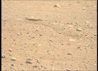 View image taken on Mars, Mars Perseverance Sol 890: Left Mastcam-Z Camera
