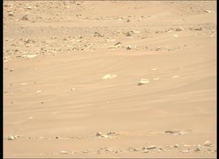 View image taken on Mars, Mars Perseverance Sol 890: Left Mastcam-Z Camera