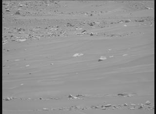 View image taken on Mars, Mars Perseverance Sol 890: Left Mastcam-Z Camera