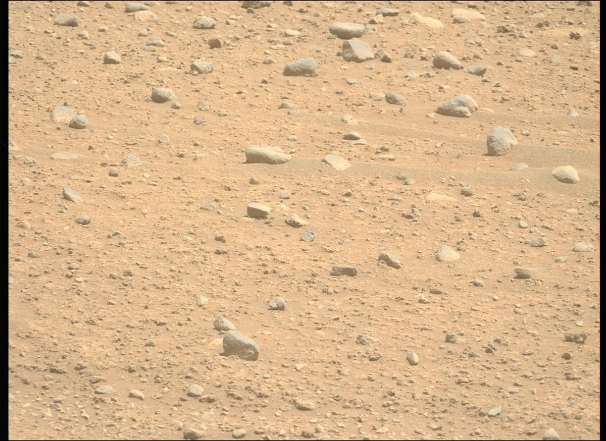 This image was taken by MCZ_LEFT onboard NASA's Mars rover Perseverance on Sol 890