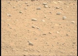View image taken on Mars, Mars Perseverance Sol 890: Left Mastcam-Z Camera