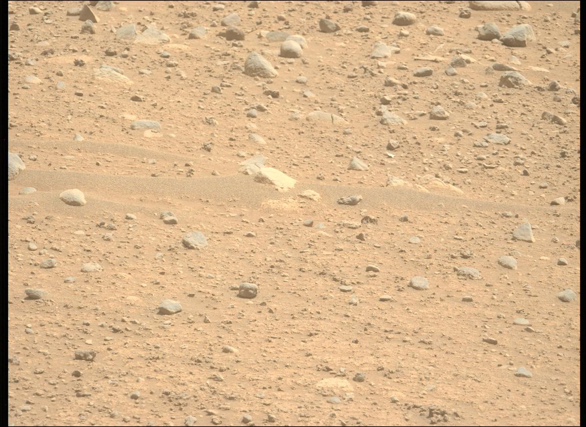 This image was taken by MCZ_LEFT onboard NASA's Mars rover Perseverance on Sol 890