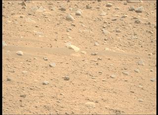 View image taken on Mars, Mars Perseverance Sol 890: Left Mastcam-Z Camera