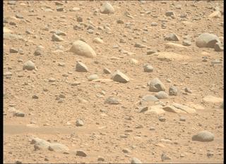 View image taken on Mars, Mars Perseverance Sol 890: Left Mastcam-Z Camera