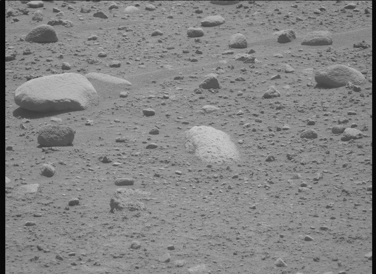 This image was taken by MCZ_LEFT onboard NASA's Mars rover Perseverance on Sol 890