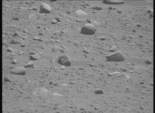 View image taken on Mars, Mars Perseverance Sol 890: Left Mastcam-Z Camera