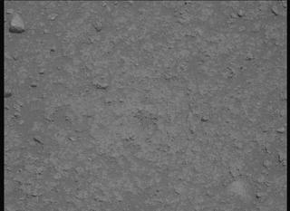 View image taken on Mars, Mars Perseverance Sol 890: Left Mastcam-Z Camera