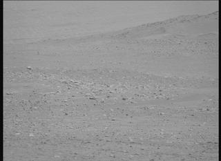 View image taken on Mars, Mars Perseverance Sol 890: Right Mastcam-Z Camera