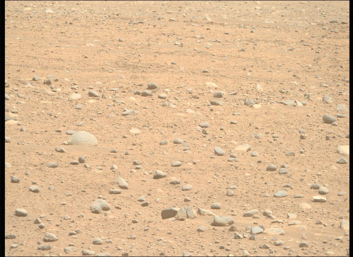 This image was taken by MCZ_RIGHT onboard NASA's Mars rover Perseverance on Sol 890