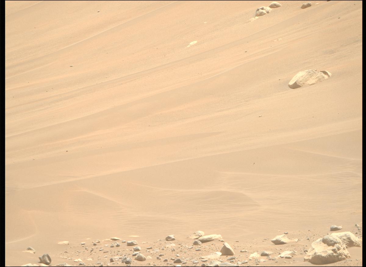 This image was taken by MCZ_RIGHT onboard NASA's Mars rover Perseverance on Sol 890