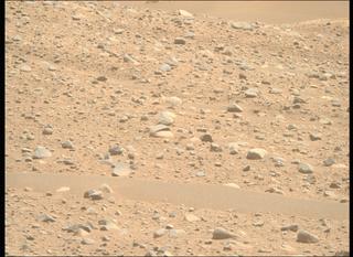 View image taken on Mars, Mars Perseverance Sol 890: Right Mastcam-Z Camera