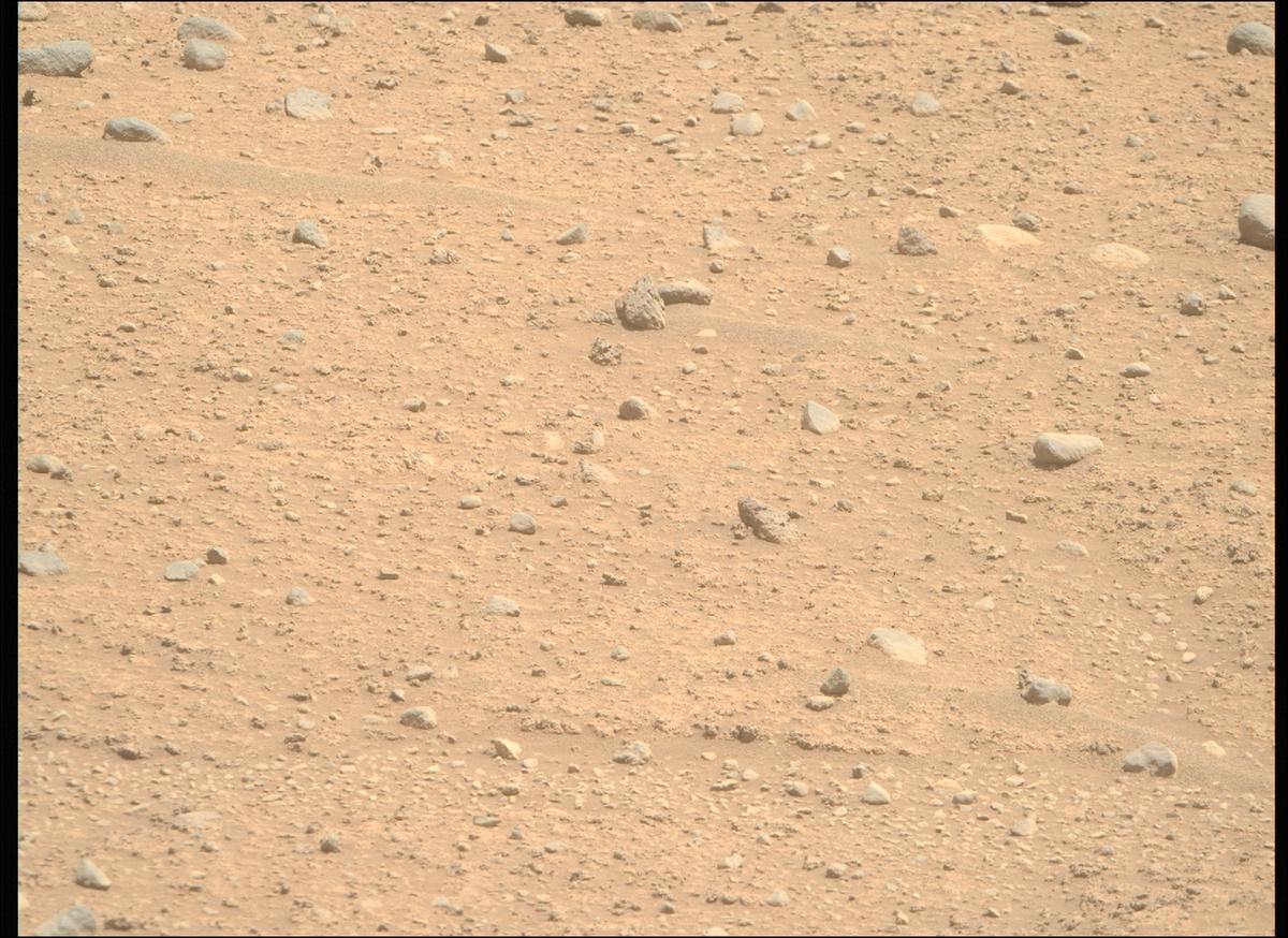 This image was taken by MCZ_RIGHT onboard NASA's Mars rover Perseverance on Sol 890