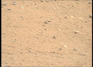 View image taken on Mars, Mars Perseverance Sol 890: Right Mastcam-Z Camera