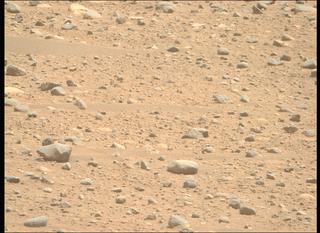 View image taken on Mars, Mars Perseverance Sol 890: Right Mastcam-Z Camera