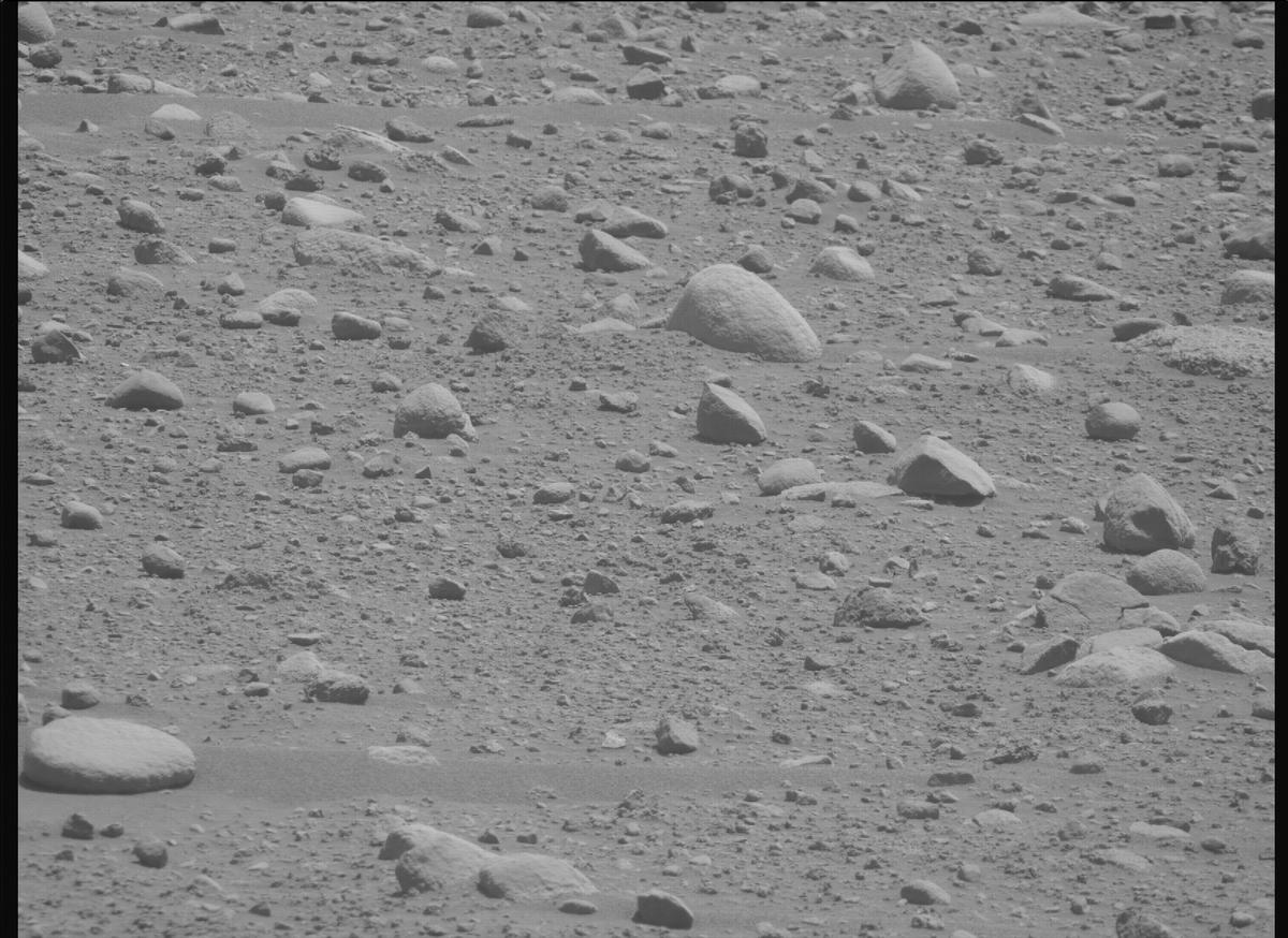 This image was taken by MCZ_RIGHT onboard NASA's Mars rover Perseverance on Sol 890