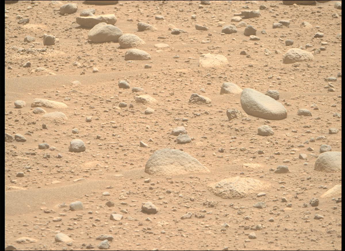 This image was taken by MCZ_RIGHT onboard NASA's Mars rover Perseverance on Sol 890